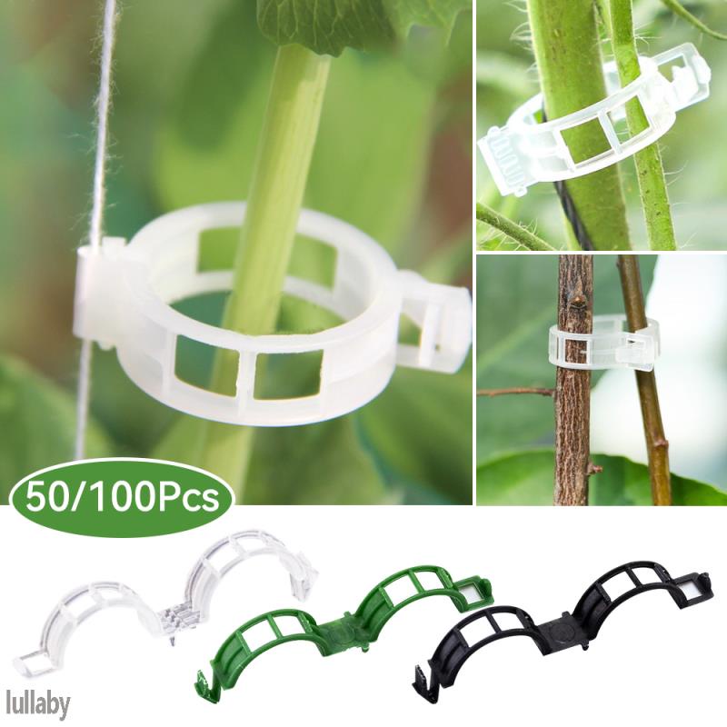 Set 50 / 100 Kẹp Nhựa Hỗ Trợ Trồng Cây Cà Chua