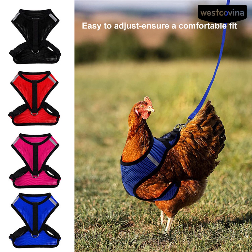 [COD]♞1 Bộ Dây Đai Dắt Gà / Vịt Thoáng Khí Tùy Chỉnh Tiện Dụng Cho Sân Vườn