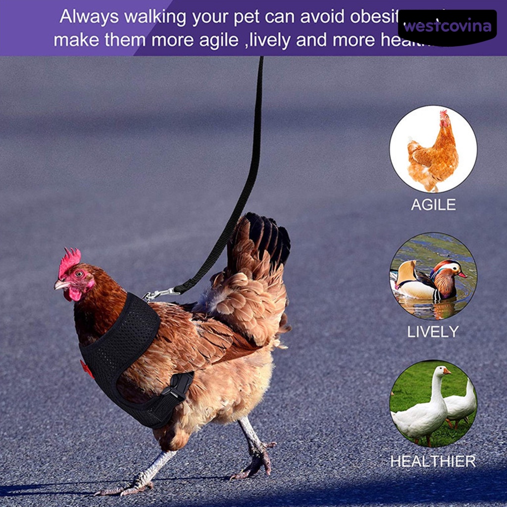[COD]♞Áo Vest Lưới Thoáng Khí Có Kẹp Bằng Thép Không Gỉ Có Thể Điều Chỉnh Dành Cho Chó Mèo