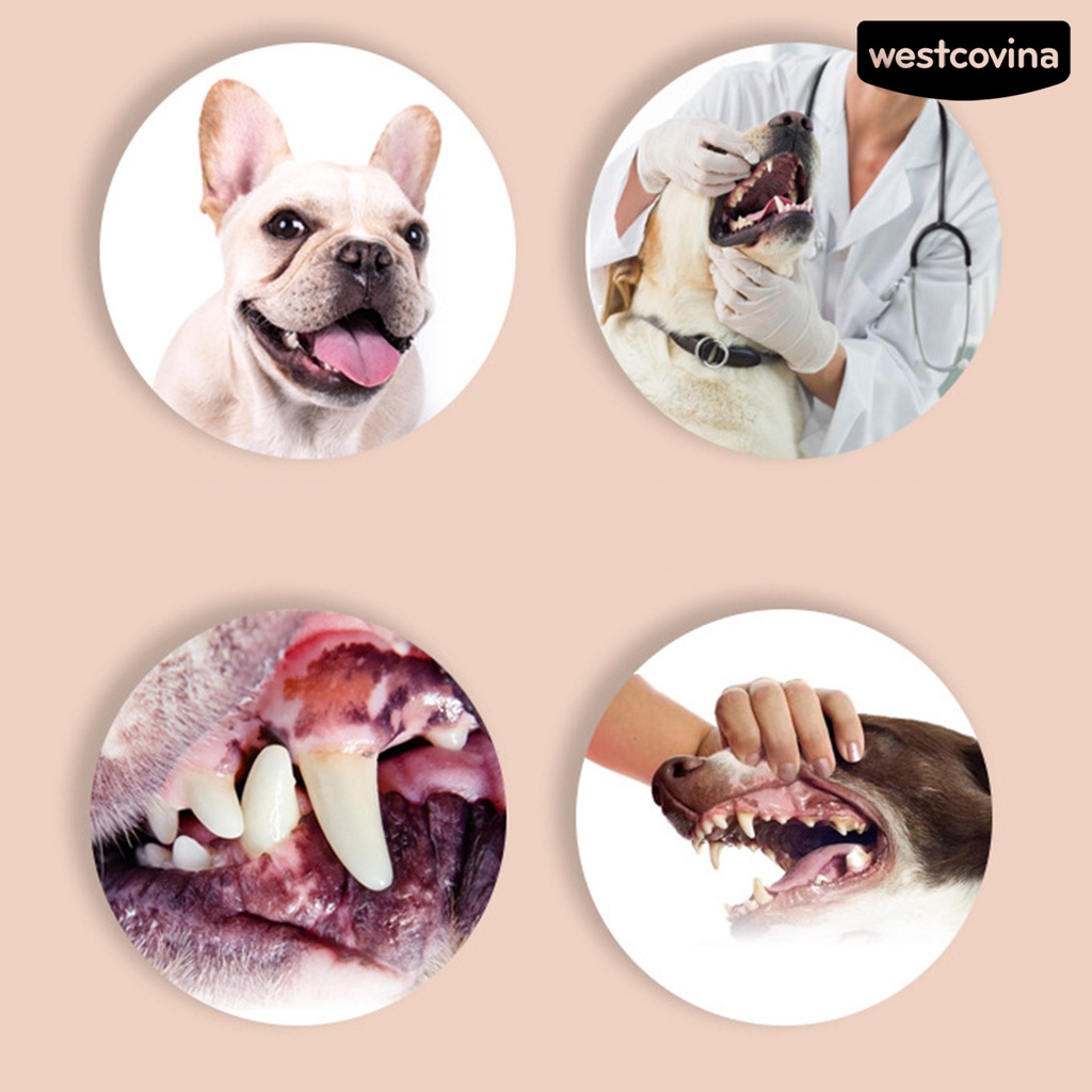 [COD]♞1 Bộ Bàn Chải Đánh Răng Lông Mềm Linh Hoạt Bằng Nhựa Đeo Ngón Tay Cho Cún Cưng