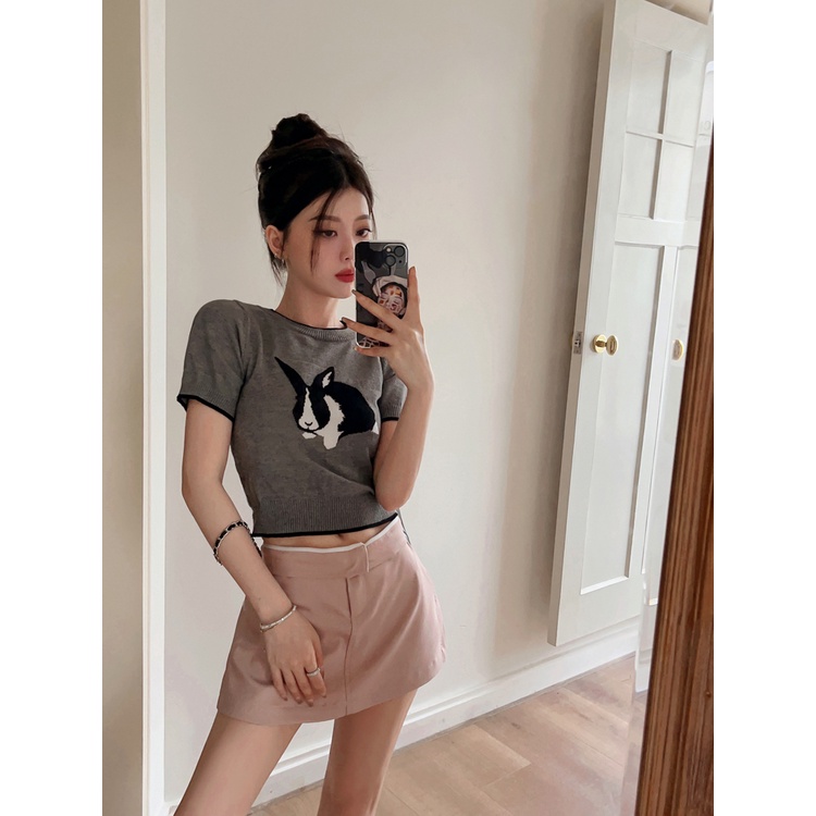 Áo Thun 100% Cotton Tay Ngắn Phong Cách Hàn Quốc Cho Nữ