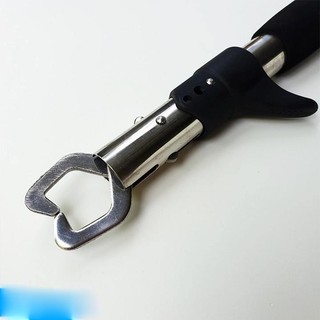 Bộ combo kìm kẹp cá hàng khỏe đẹp