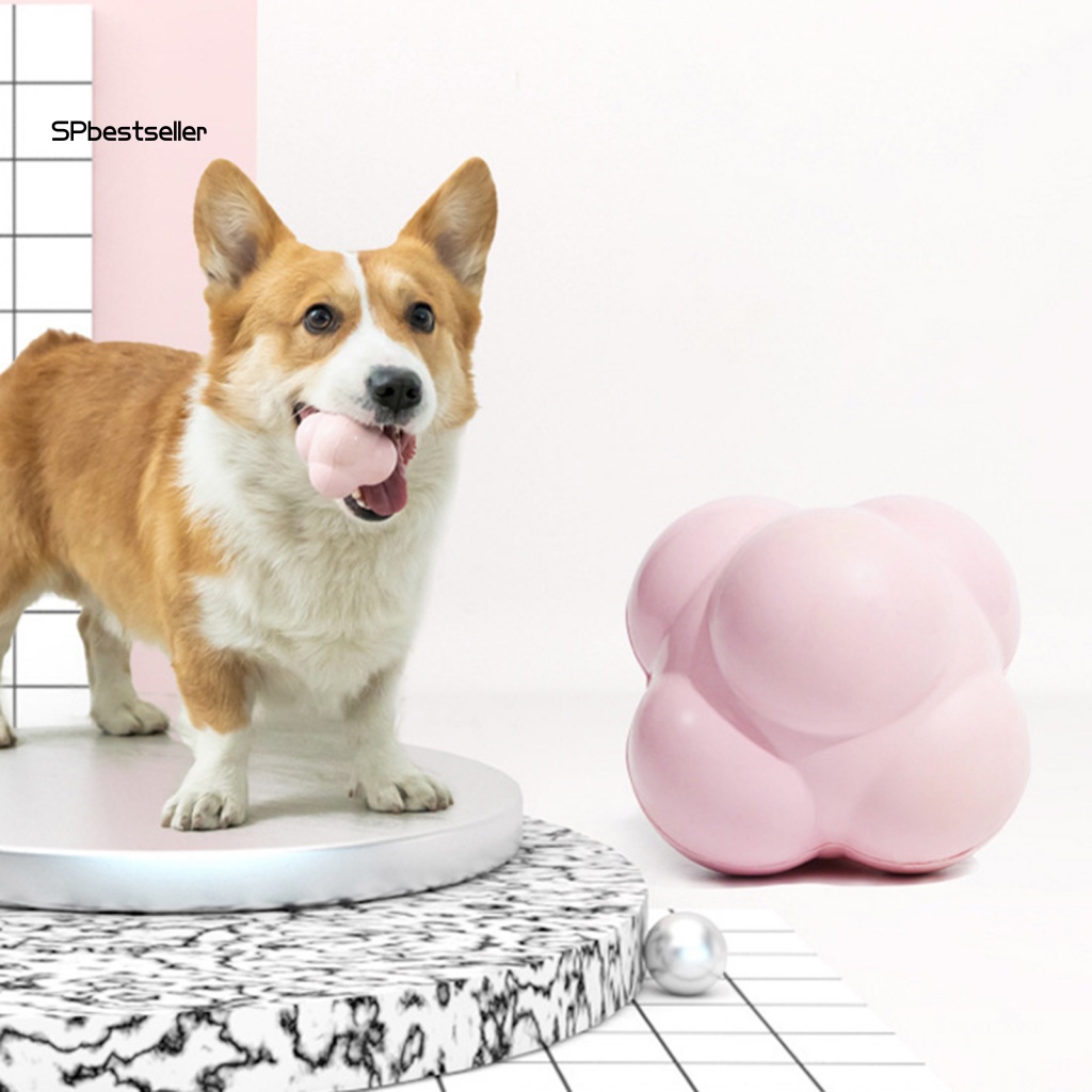 Bóng Cao Su Đồ Chơi Trong Nhà Chống Cắn Siêu Bền Độc Đáo Cho Thú Cưng