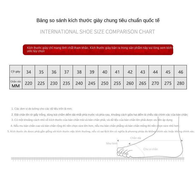 Giày Thể Thao Vải Canvas Đế Dày Phối Lưới Thời Trang Mùa Hè 2023 Cho Nữ