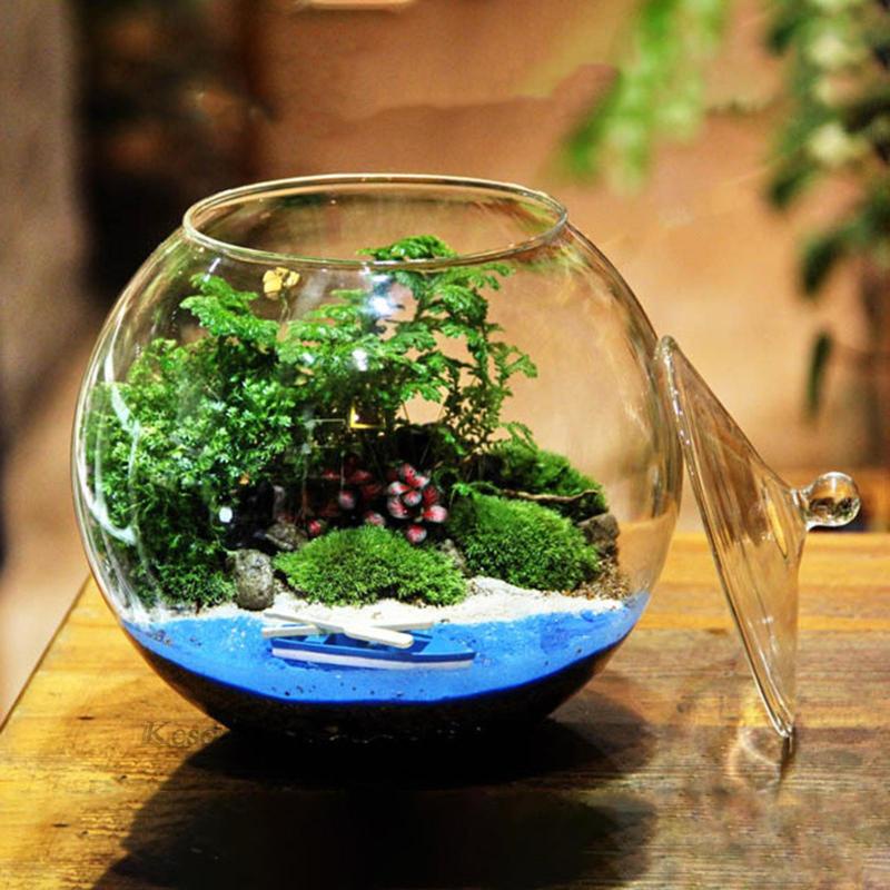Thủy tinh terrarium centerpiece hộp đựng cây thủy tinh tự làm cho phòng ngủ nuts