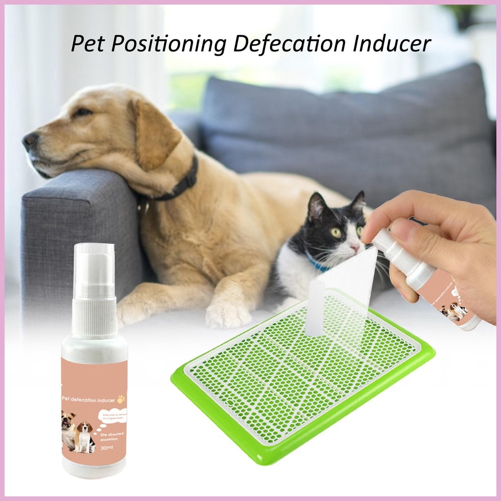 Dung Dịch Huấn Luyện Thú Cưng Đi Vệ Sinh 30Ml