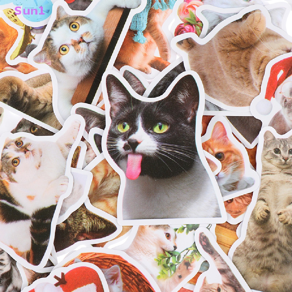 Set 50 Nhãn Dán Hoạt Hình Mèo Trang Trí Sổ Tay / Hành Lý / Xe Hơi DIY