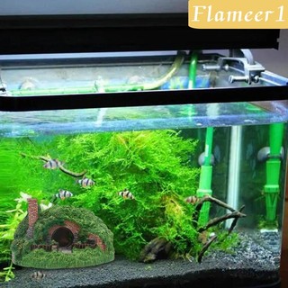 [Flameameer1] Hang Hang Động Ẩn Trang Trí Bể Cá