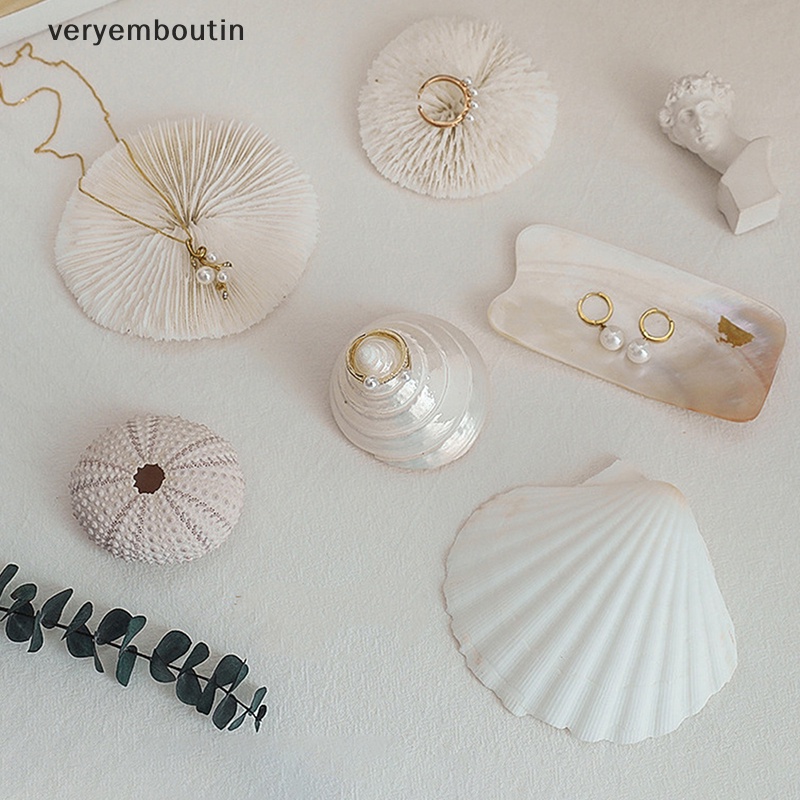 Khay Vỏ Sò Dùng Để Trưng Bày Trang Sức Tiện Lợi