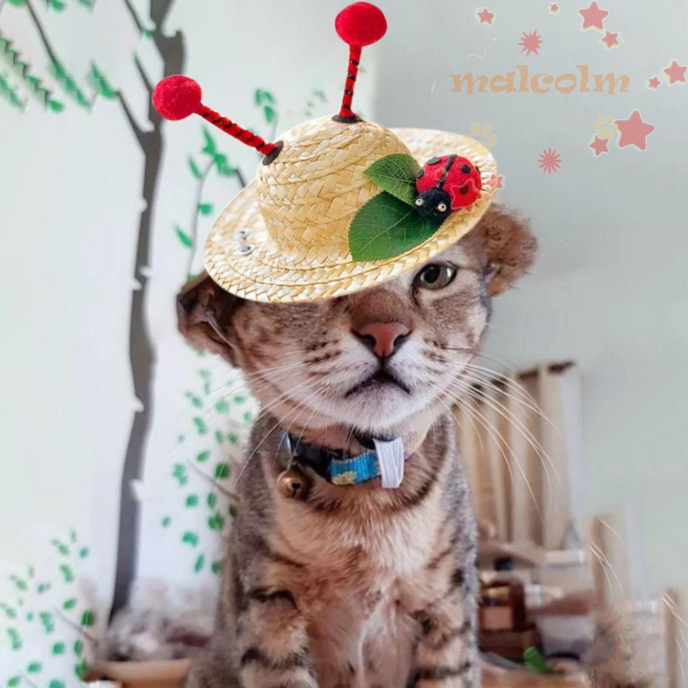 Mũ Rơm Dệt Hình Cún Cưng Đội Mũ Rơm Sáng Tạo Trang Trí Tiệc Bãi Biển 2023