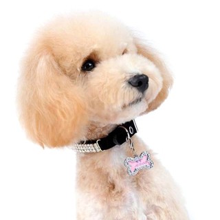 Biển Chó Thẻ Thú Cưng Dễ Thương Thẻ Cho DogCats Id Thẻ Chó Id Thẻ Thú Cưng Cổ Charm Xương