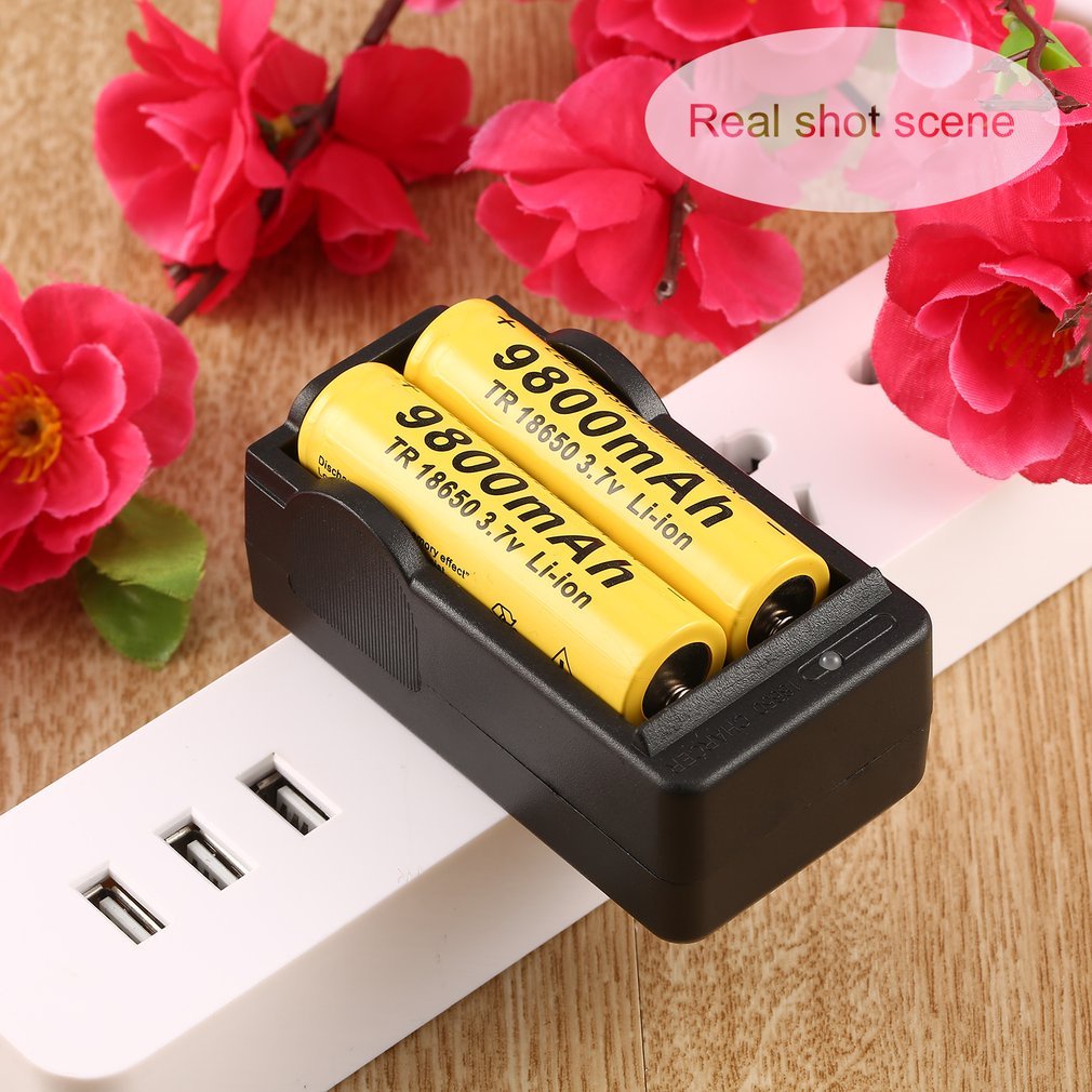 Ac 110-240V 18650 4.2V Rechargeable Li-Ion Dual Battery Charger Us Plug Travel Power Adapter Led Indicator [Q/11]