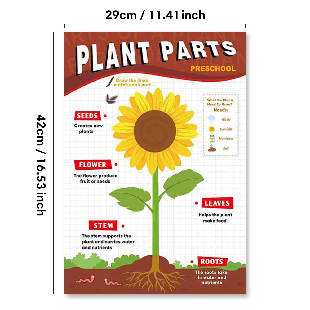 Set 12 Tấm Poster Hình Biểu Tượng Cảm Xúc Tiếng Anh Giáo Dục Sớm Cho Bé