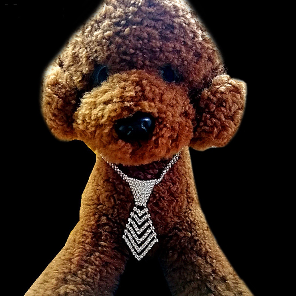 Vòng Cổ Bắt Mắt Màu Sắc Lấp Lánh Tùy Chỉnh Tiện Dụng Cho Thú Cưng