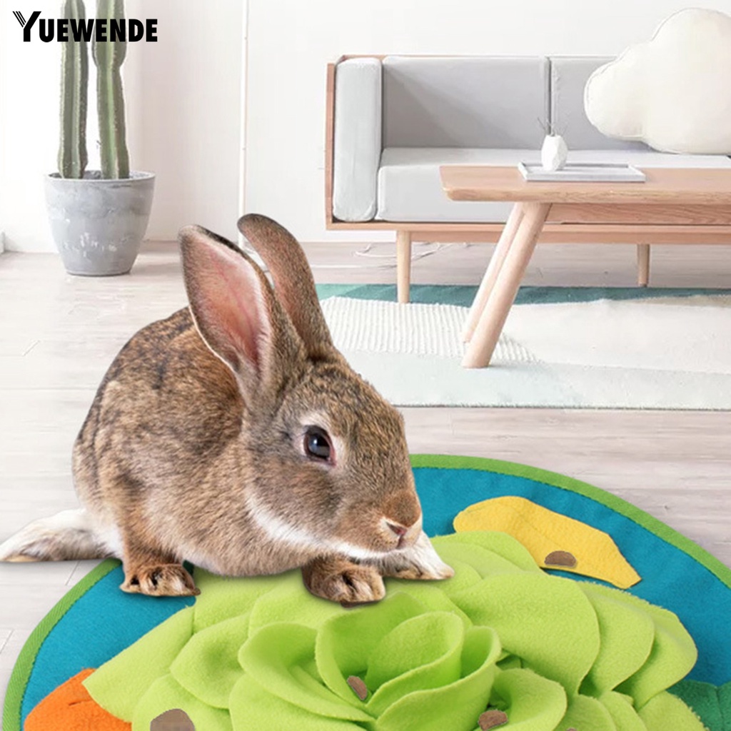 Thảm Tự Nhiên Giúp Giảm Căng Thẳng Kiểm Soát Thoải Mái Dùng Để Huấn Luyện Thú Cưng