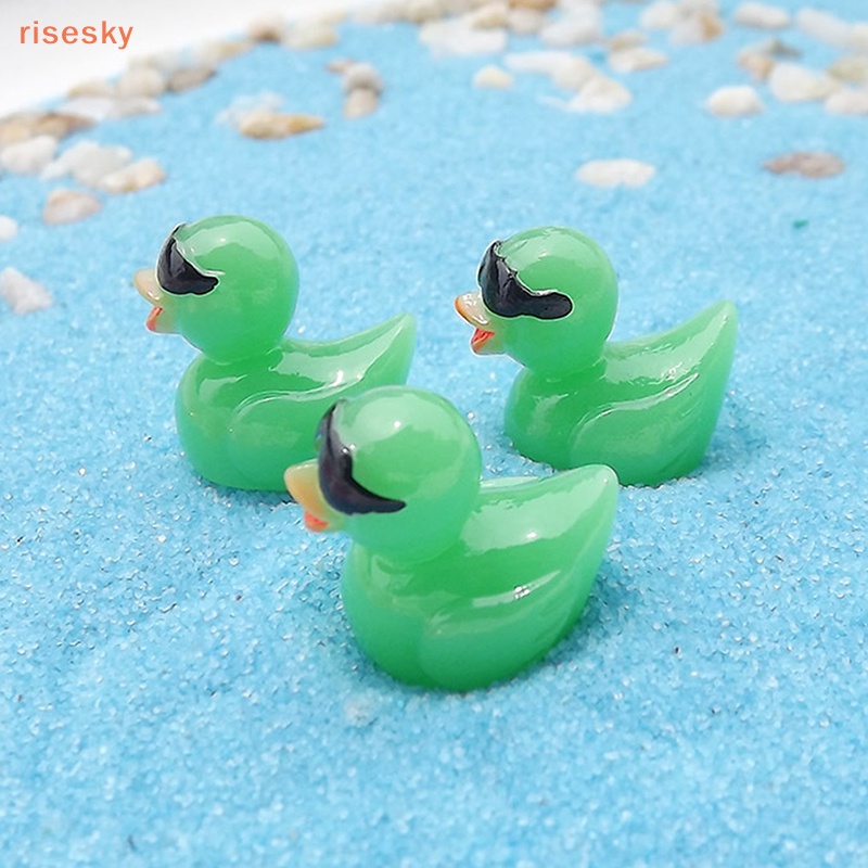 Set 5 Đồ trang trí Chú Vịt Mini Bằng Nhựa Resin Trang Trí Tiểu Cảnh / Bể Cá