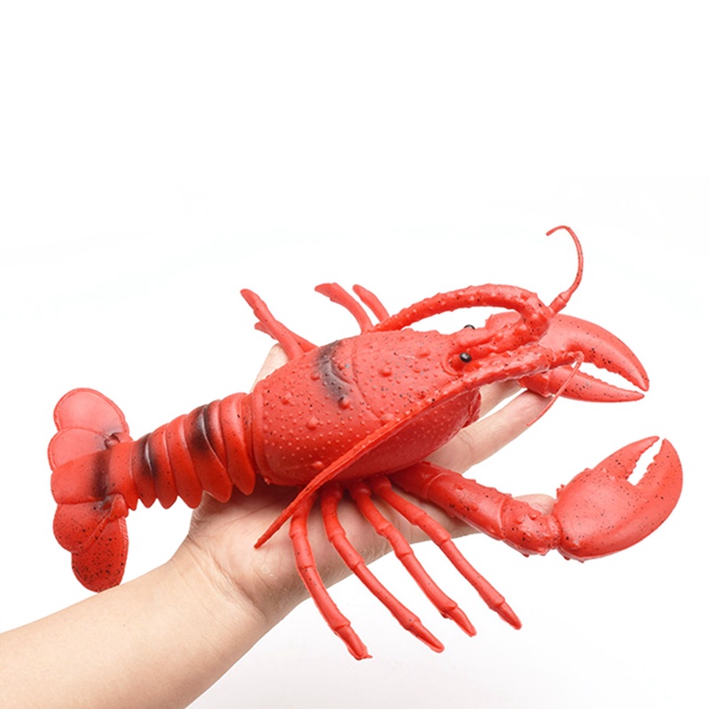 Đồ Chơi Nắn Bóp Hình Con Cua Biển Giúp Giảm Căng Thẳng