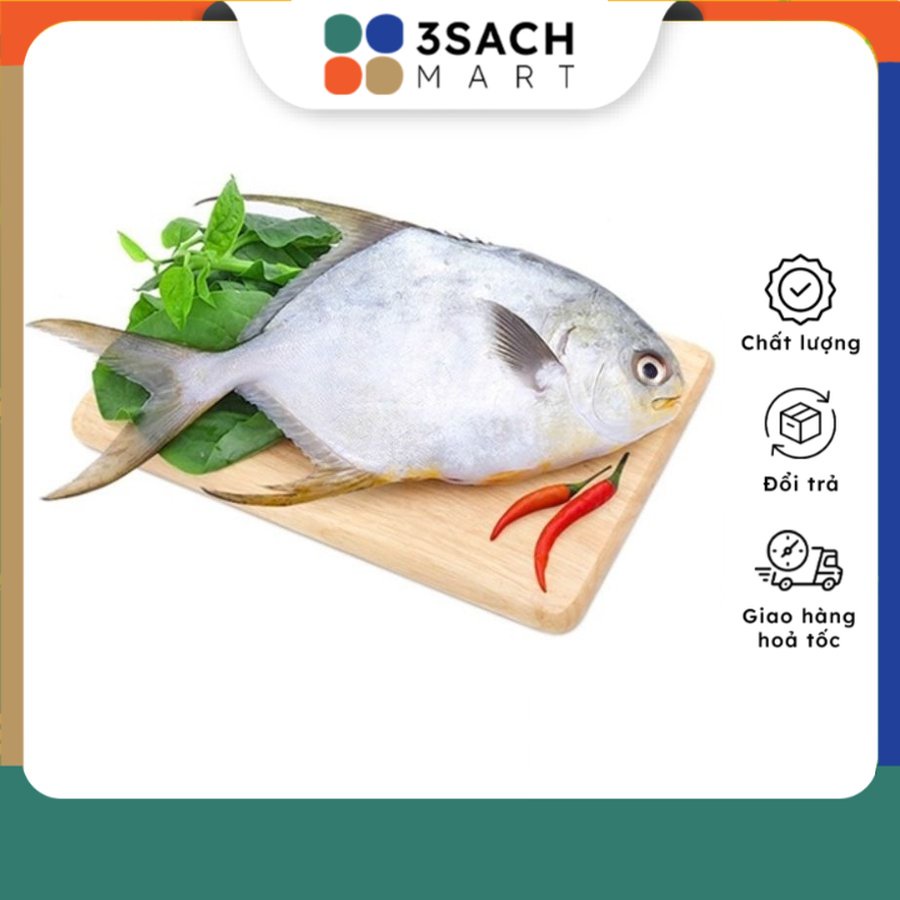 Cá Chim Trắng Lớn Size - 800g - 1kg/con