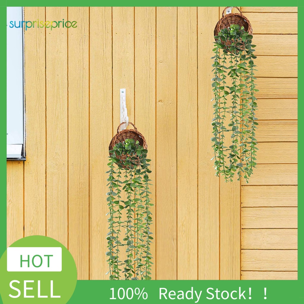 Cây Bạch Đàn Giả Chống Rơi Không Phai Dùng Trang Trí Trong Nhà