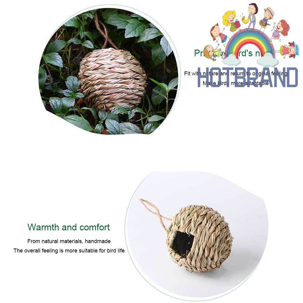 Tổ Chim Bằng Cỏ Tự Nhiên Dùng Trang Trí