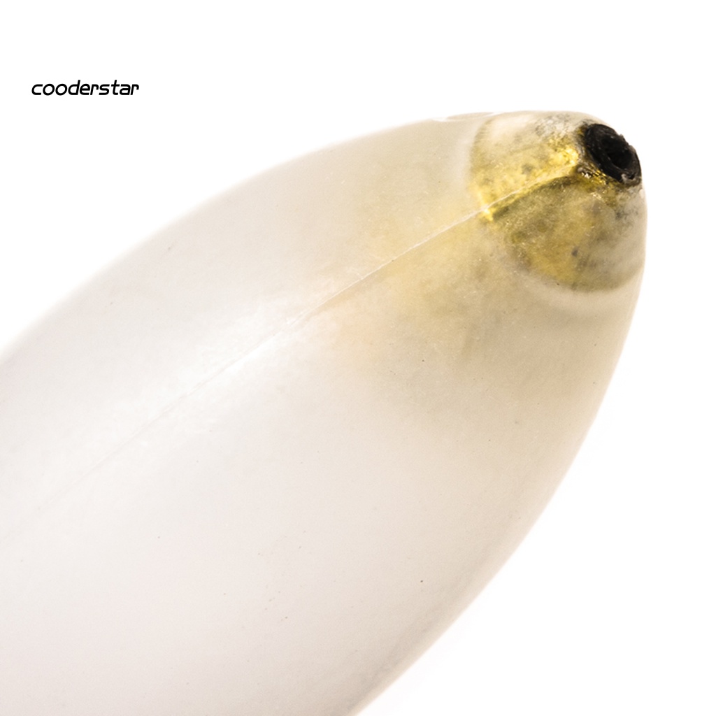 Phao Nổi Câu Cá Bằng Acrylic Dễ Sử Dụng Tiện Lợi