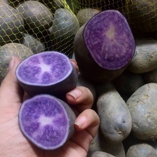 HẾT HÀNG SẢN PHẨM