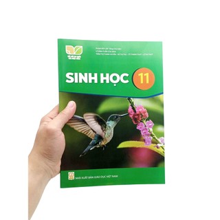 Sách Sinh Học 11 (Kết Nối Tri Thức) (2023)