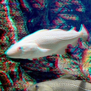 Mắt Kính 3D Dùng Xem Phim DVD