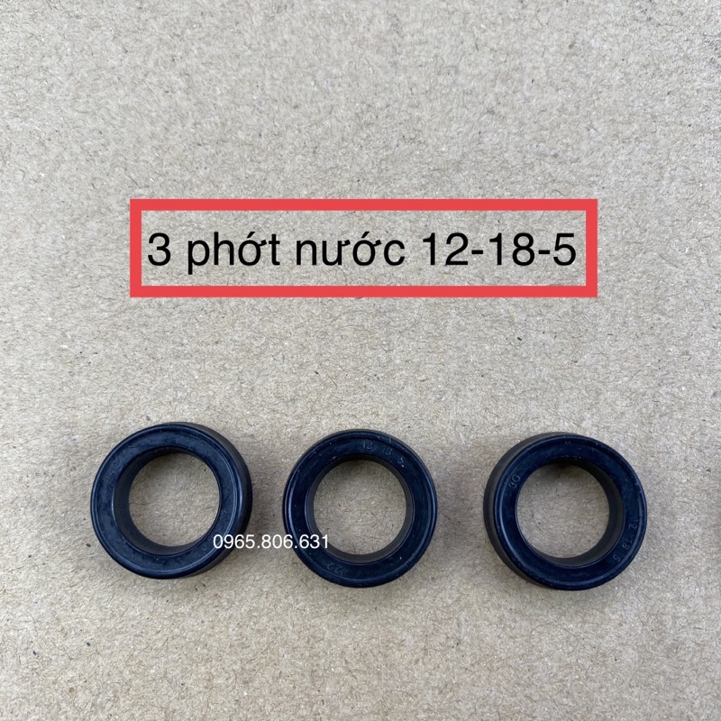 BỘ PHỚT, VAN MỘT CHIỀU MÁY RỬA XE GIÁ ĐÌNH, MÁY BƠM RỬA XE MINI CAO ÁP DÙNG PHỚT, COMBO 3 CÁI