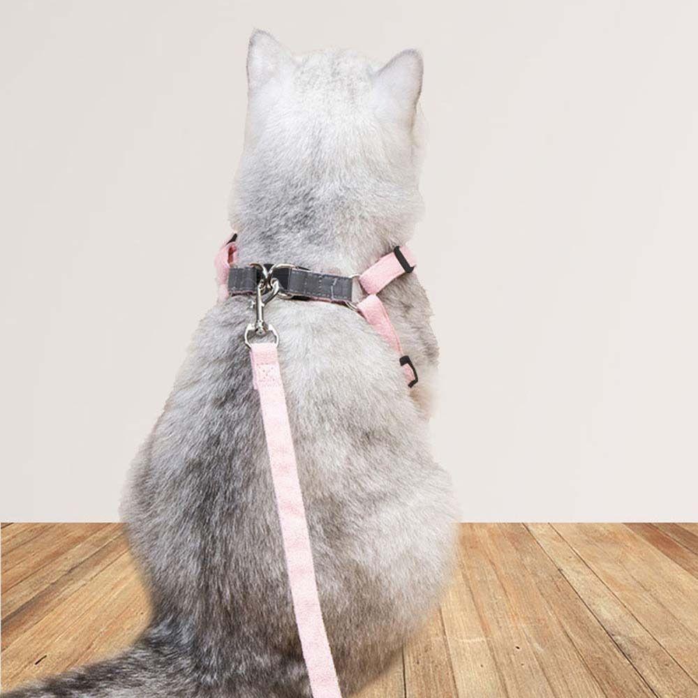 Đai Đeo Ngực Thoáng Khí Tùy Chỉnh Kích Thước Cỡ Nhỏ / Vừa / Lớn Tiện Dụng Cho Cún Cưng / Mèo Cưng Đi Dạ