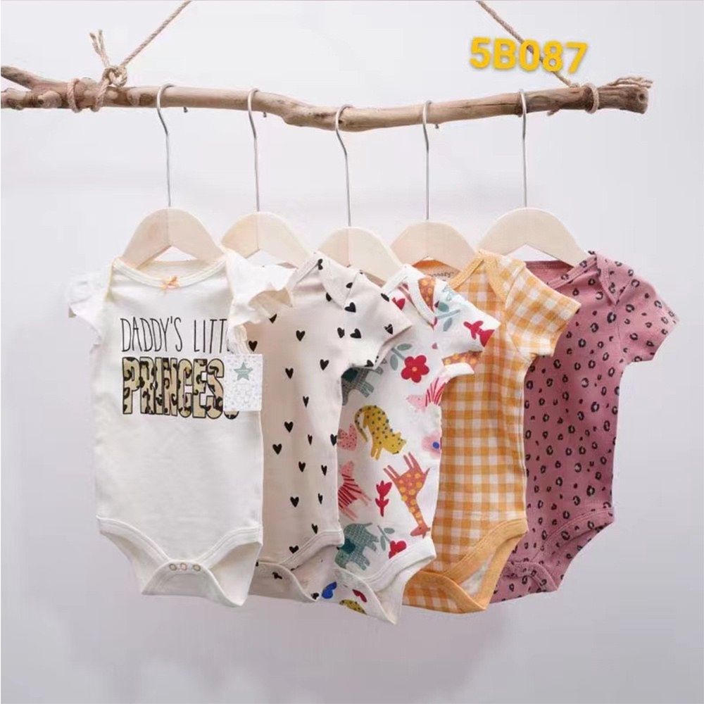 SET 5 BODY CHIP COTTON KÈM MÓC