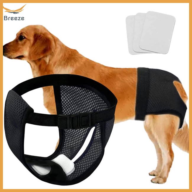 Quần Lót Sinh Lý Bằng Lưới Thoáng Khí Chống Rách An Toàn Cho Thú Cưng