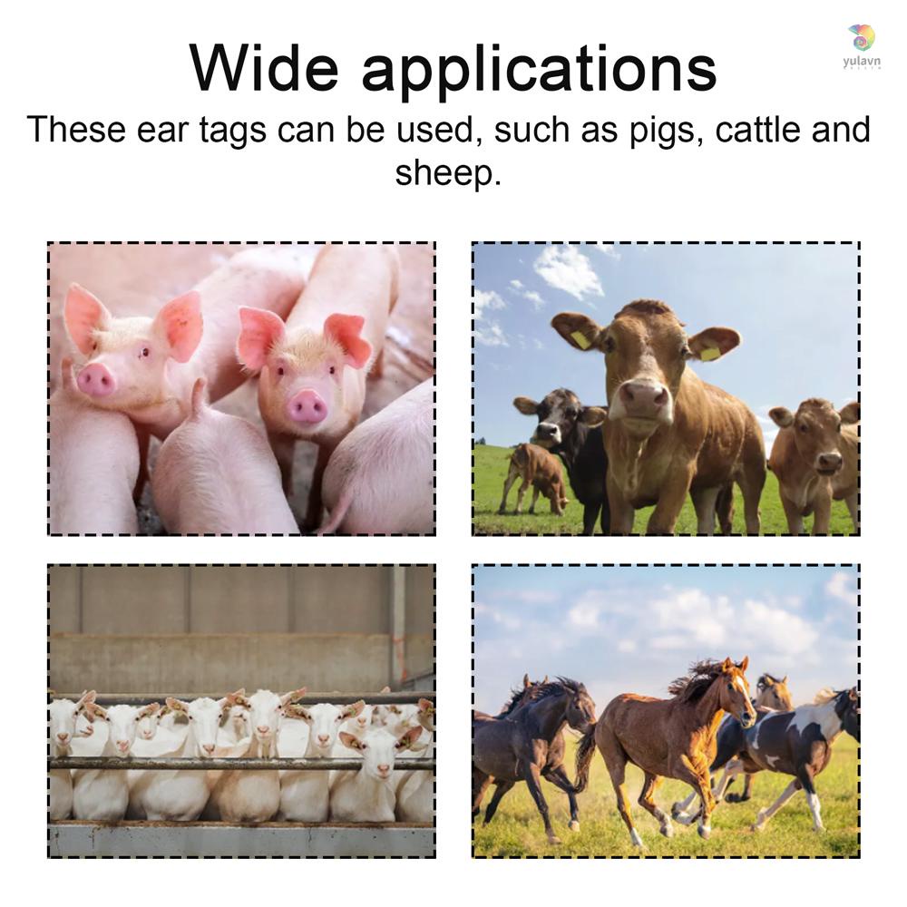 Kìm Gắn Thẻ Đánh Dấu Kèm 100 Ghim Và 2 Cờ Lê Chuyên Dụng