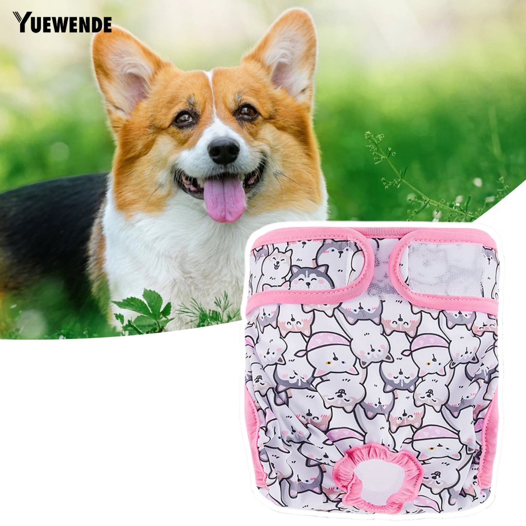 Tã Quần Sinh Lý Có Thể Điều Chỉnh Chống Chấn Thương Cho Thú Cưng