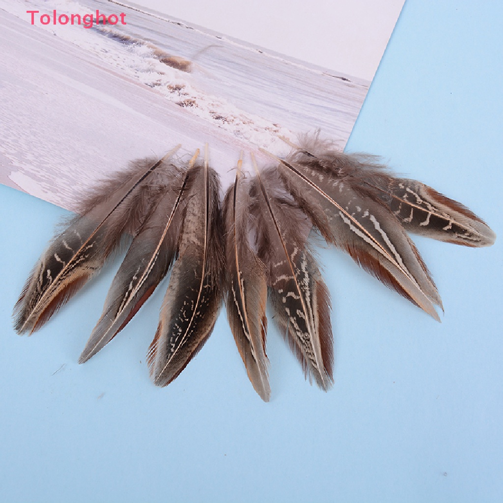 Set 50 Lông Gà 5-10cm Dùng Trang Trí Thủ Công diy