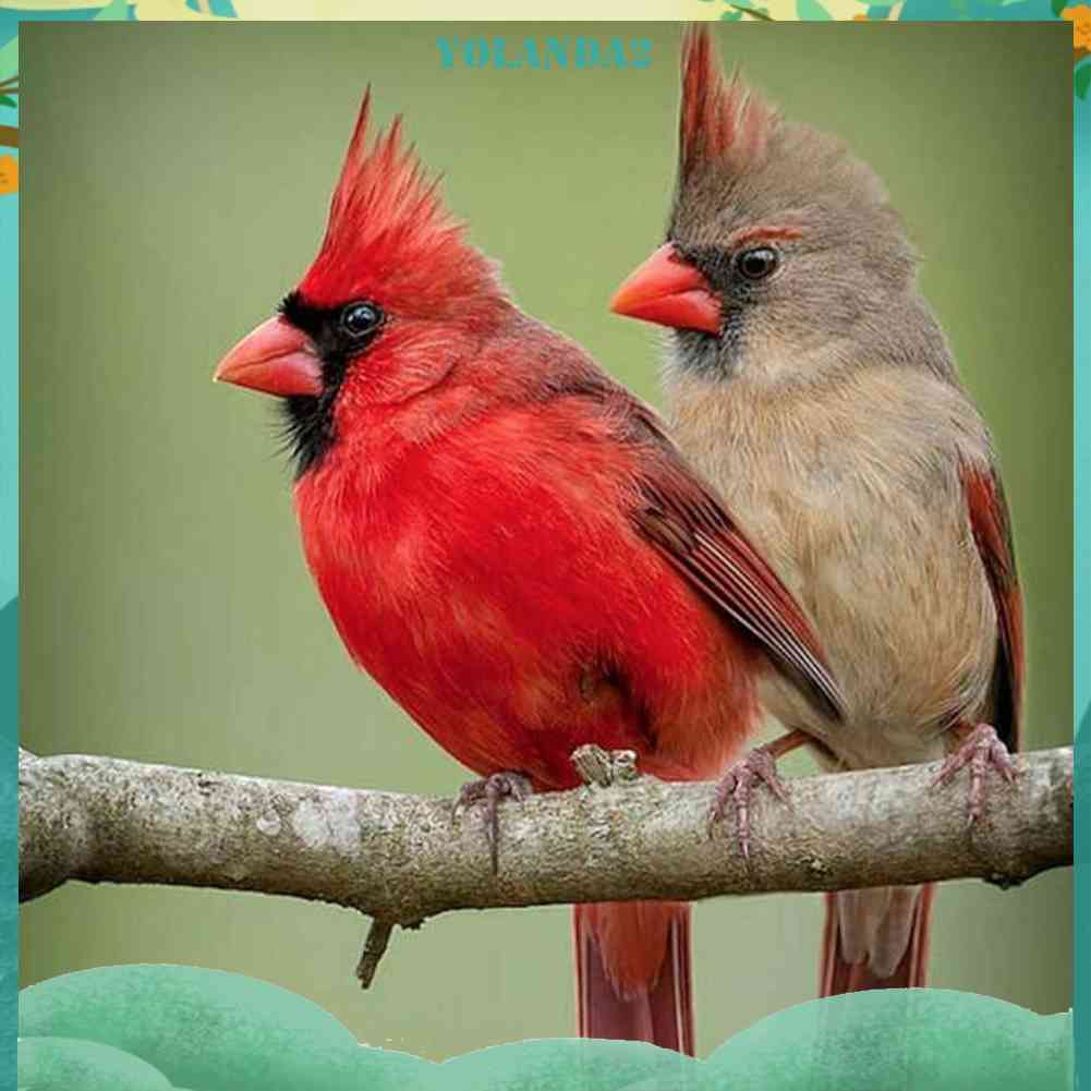 Tranh Đính Đá Kim Cương Toàn Bộ Họa Tiết Chim Và Cây Dùng Trang Trí DIY