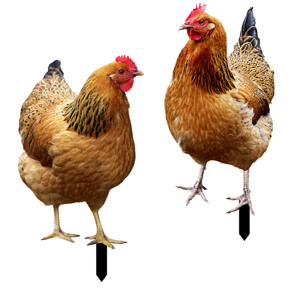 Set 2 Bức Tượng Gà Mái Màu Đen Trang Trí Sân Vườn