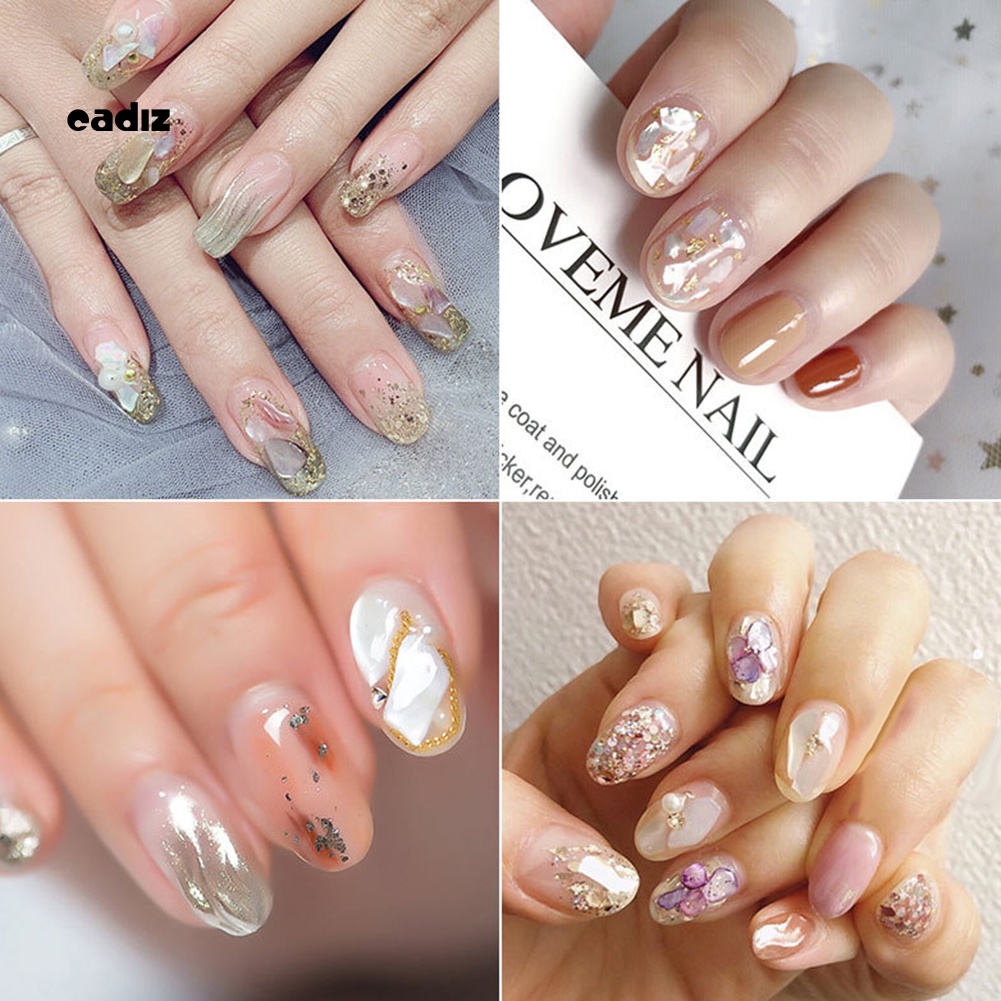 Hộp Vỏ Sò 3D Trang Trí Móng Tay 12 Phong Cách