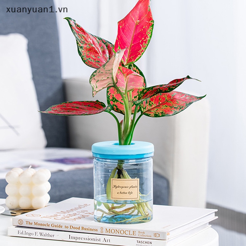 1 Bình Hoa Trong Suốt Dùng Để Trang Trí