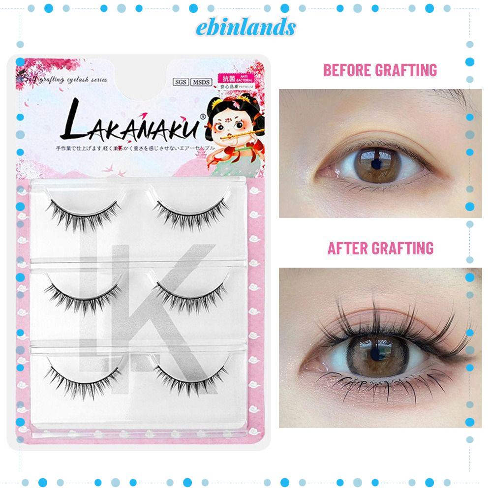 Lông Mi Giả Mỏng Trong Suốt Hình Hoa Hướng Dương Cho Người Mới Bắt Đầu EBINLANDS