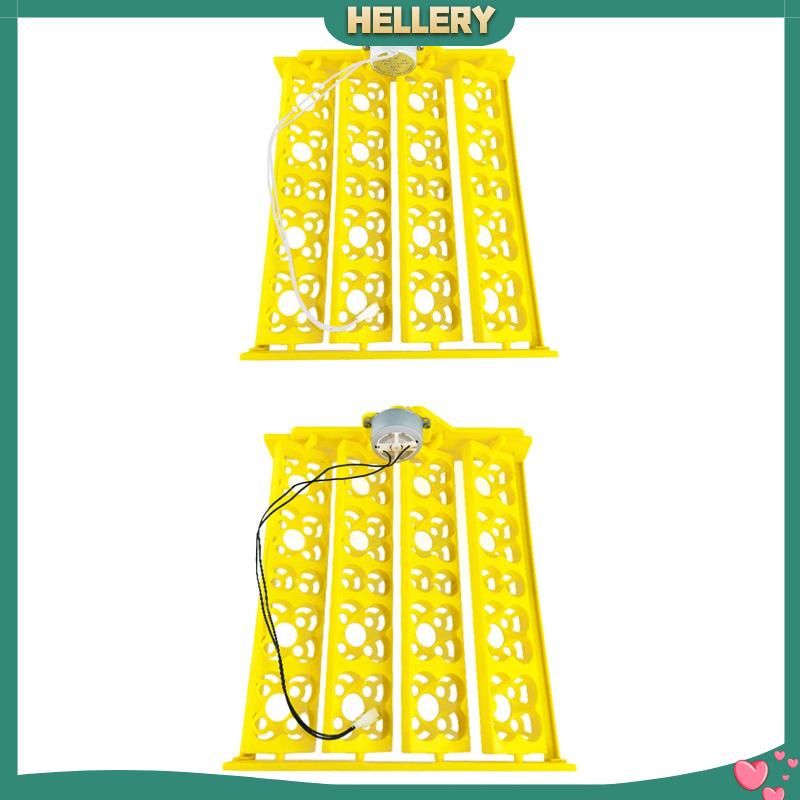 Khay Làm Trứng Gà / Ngỗng Tiện Dụng Chất Lượng Cao