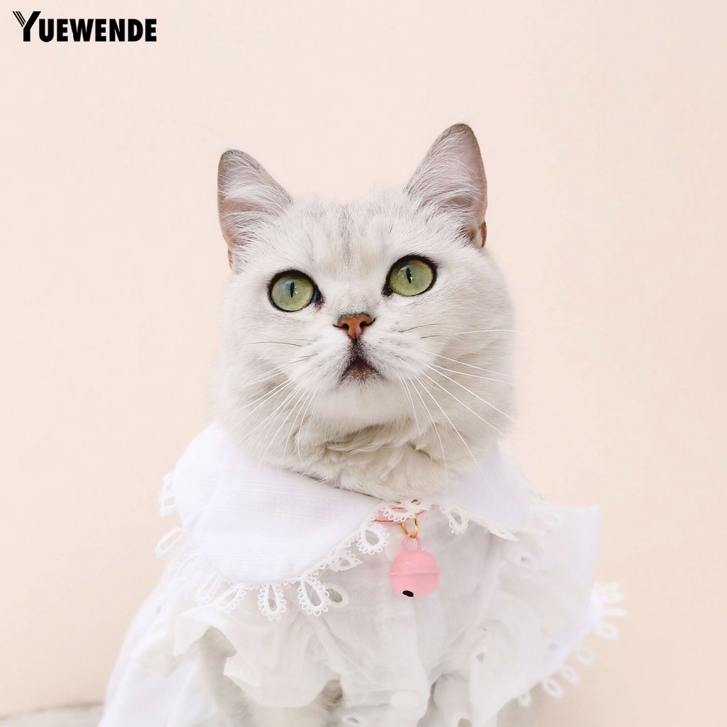 Vòng Cổ Denim Màu Trơn Trang Trí Chuông Cho Thú Cưng