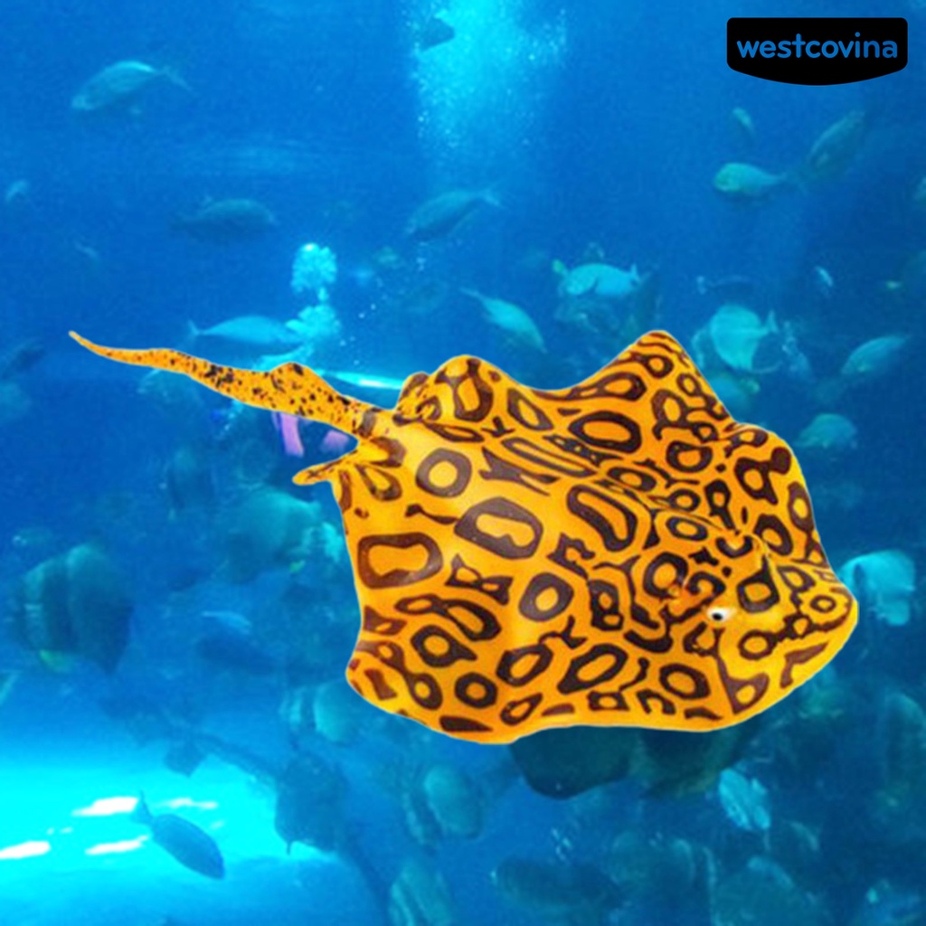 [COD]♞Cá Giả Dạ Quang Trang Trí Bể Cá