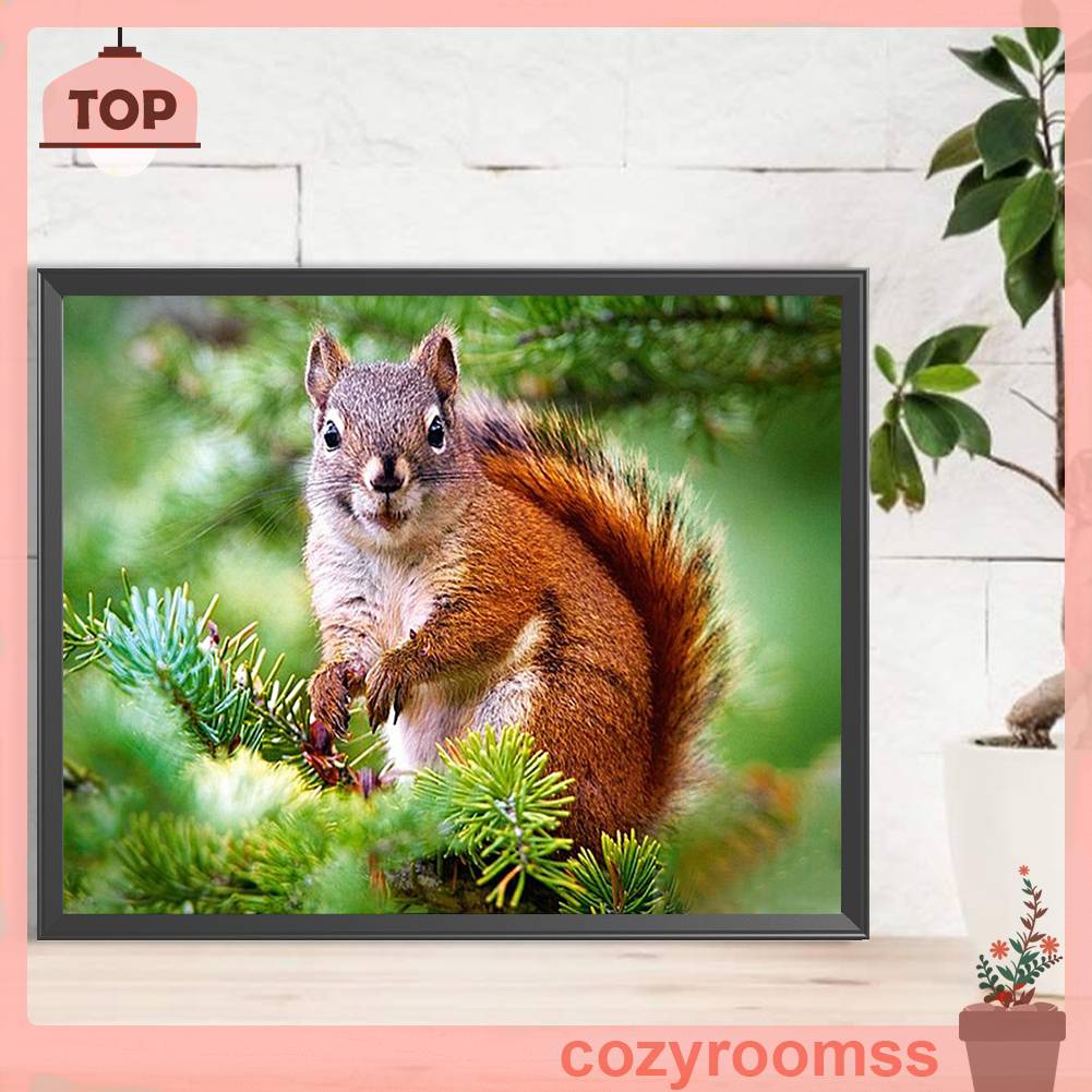 Tranh Đính Đá Kim Cương Toàn Bộ 5D DIY Hình Vẽ Sóc Trang Trí Nhà Cửa