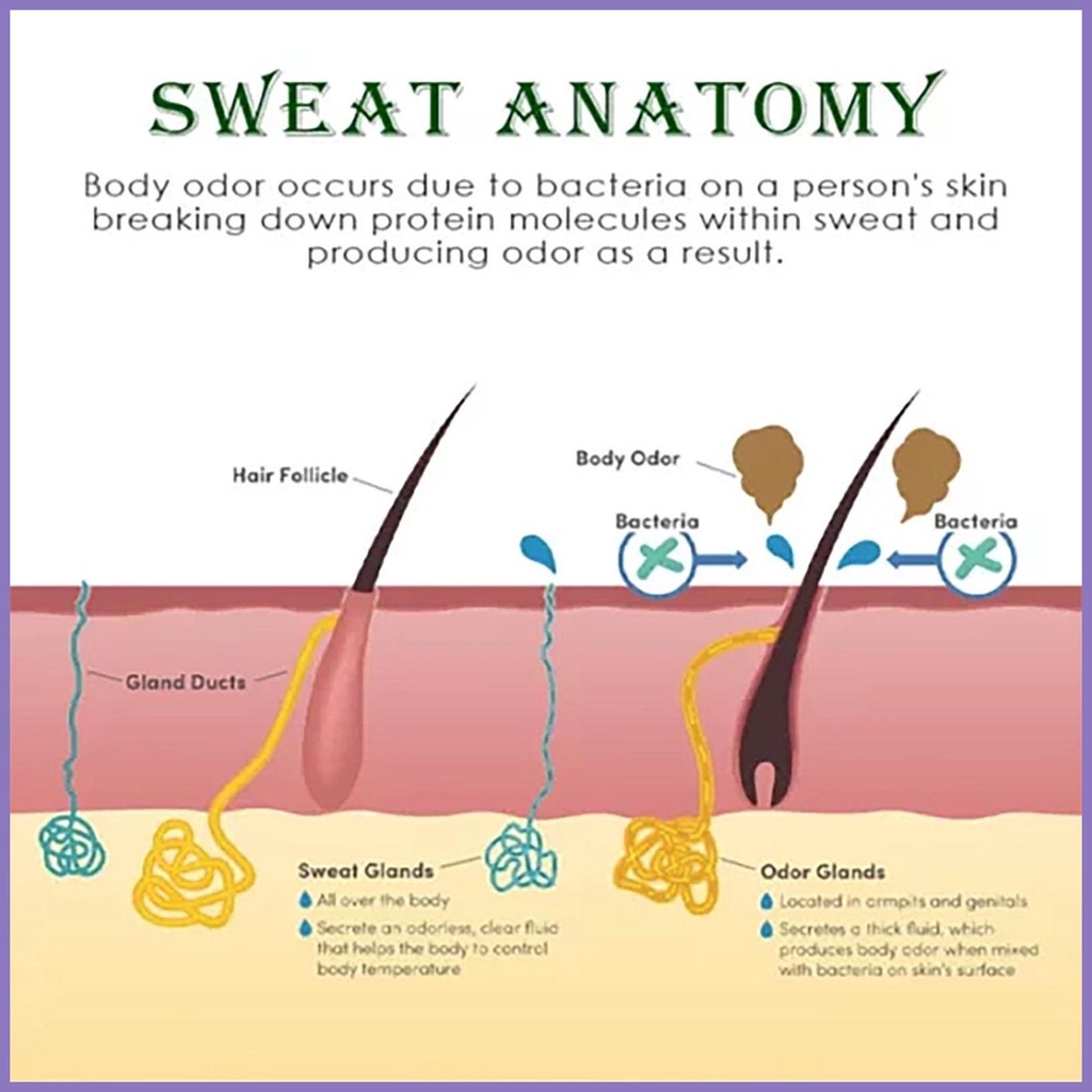 Kem Thảo Dược Tự Nhiên 0.7 Oz Loại Bỏ Mùi Hôi Dưới Cánh Tay Lâu Trôi Cho nota2vn