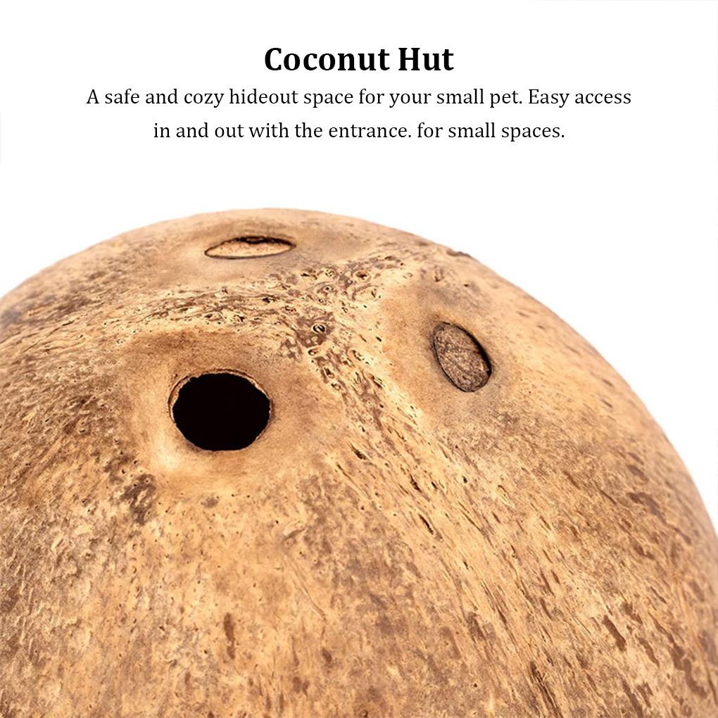 Nhà Dừa Nhỏ Xinh Thân Thiện Với Môi Trường Cho Chuột Hamster