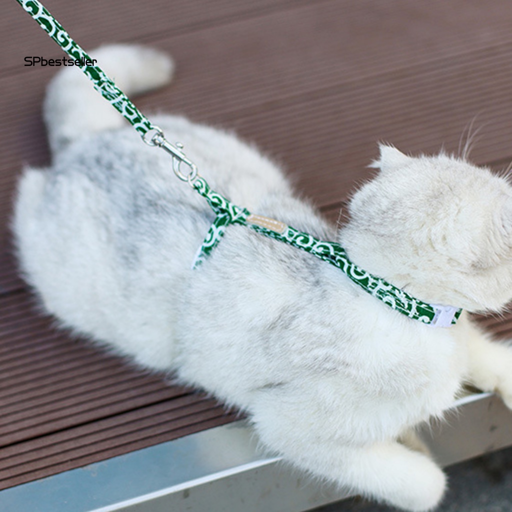 Dây Dắt Thú Cưng Đi Dạo Thoải Mái Siêu Bền