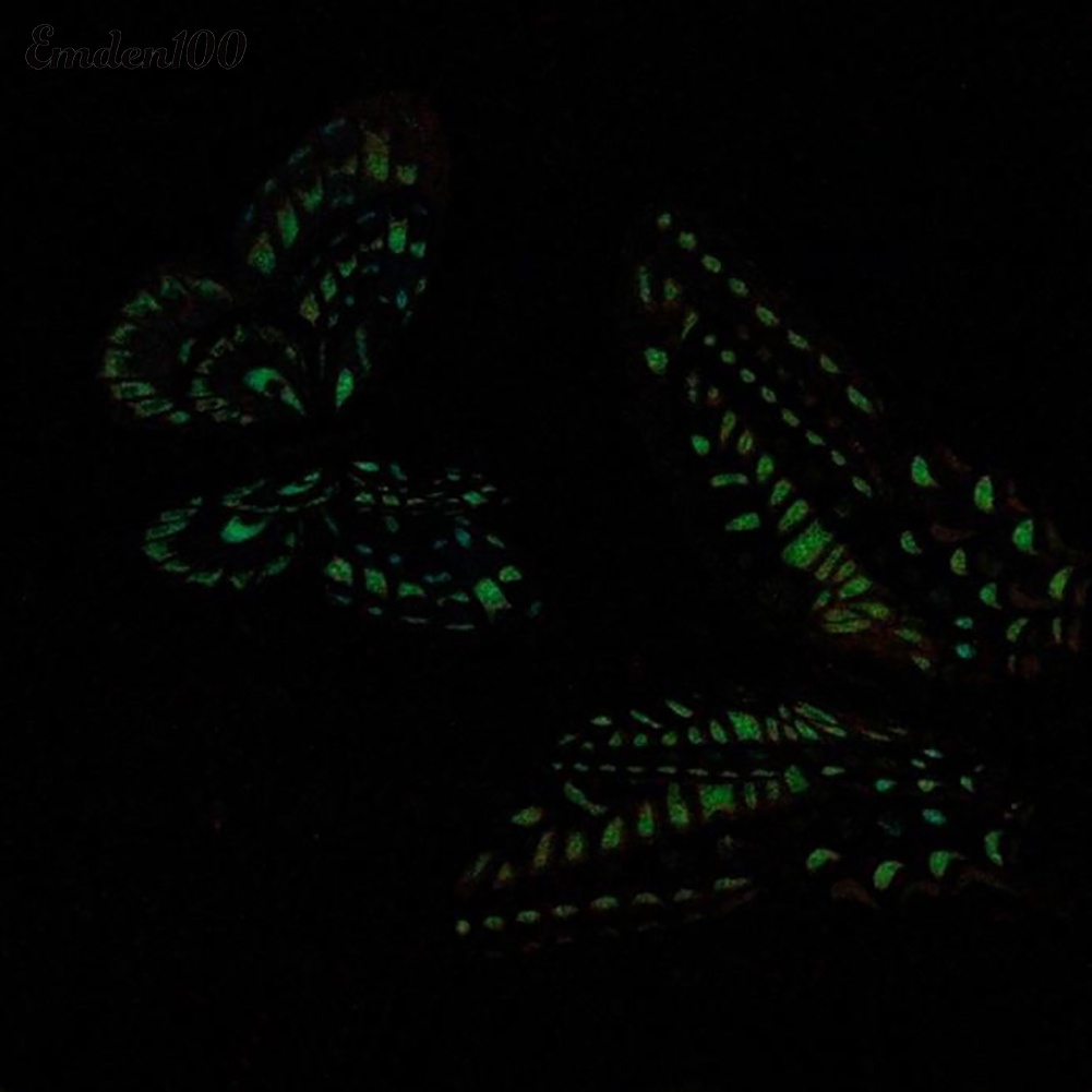 Set 12 Miếng Dán Tường Hình Bướm 3D Dạ Quang Dùng Để Trang Trí Nội Thất