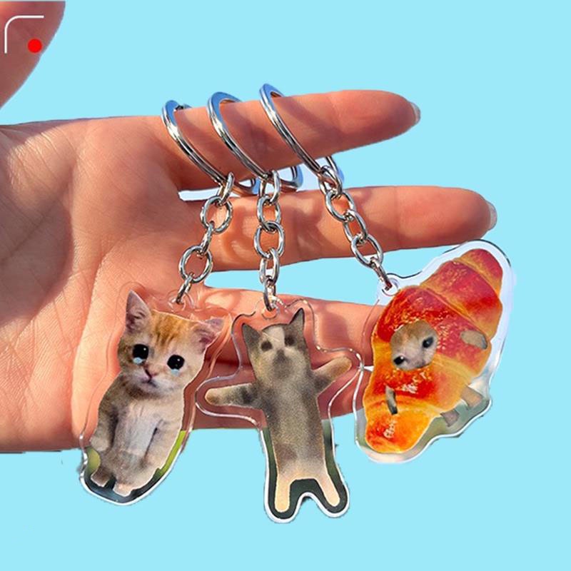 Móc Khóa Acrylic Hình Chú Mèo Đang Khóc Vui Nhộn Cho Bé