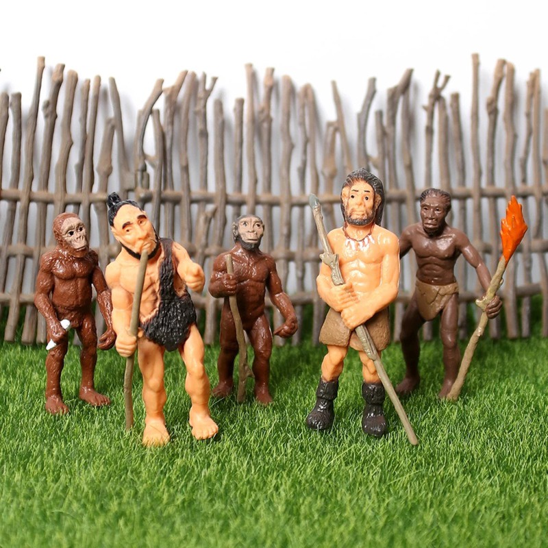 Mô Hình Đồ Chơi Giáo Dục Khoa Học Nhân Vật Tiến Hóa Con Người Cho Bé